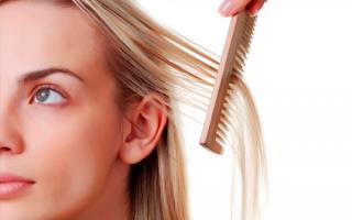 Найден выход из запутанной ситуации с волосами: натуральные средства Очень путаются волосы что делать парикмахеру