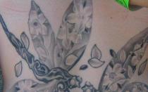 Значение стрекозы в искусстве татуировки Эскиз тату стрекозы и цветы